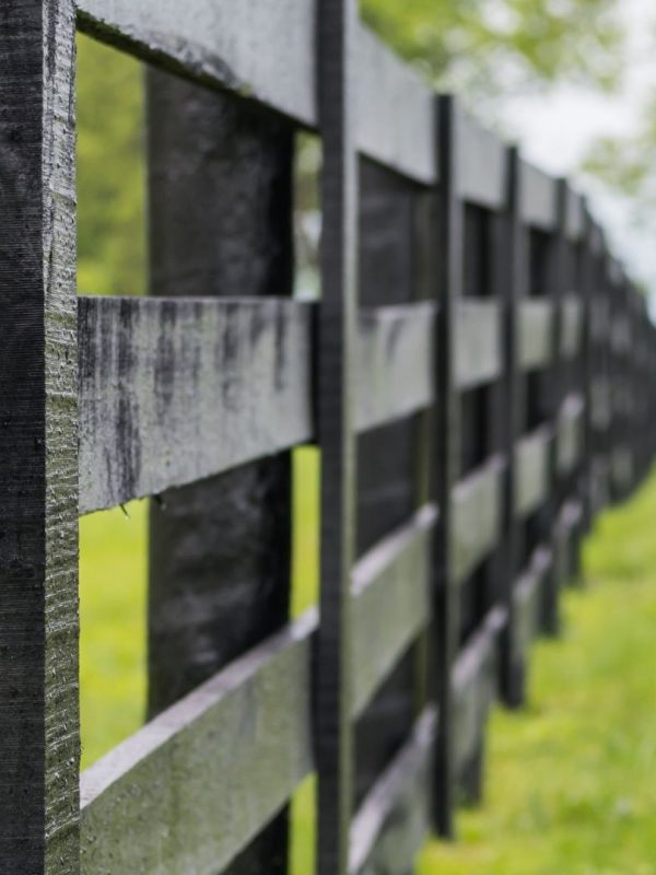 CF-Pros-and-Cons-of-a-Black-Fence