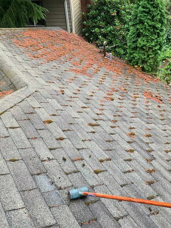 roof-cleaning